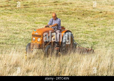 Farmer driving old Renault V37 tractor cutting long grass - Indre-et-Loire (37), France. Stock Photo