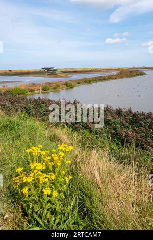 View across the Freshwater Marsh at RSPB Titchwell bird reserve towards the South Parrinder Hide. Stock Photo