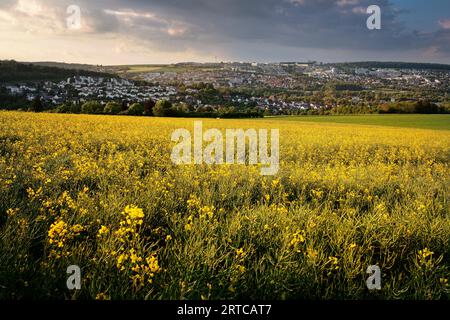 View from Schanzberg to the Science Park at Eselsberg, Ulm, Swabian Jura, Baden-Wuerttemberg, Germany, Europe Stock Photo
