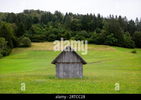 Beautiful tradiitonal wooden farming cottage on a grassy field with forest at the back in Triglav national park in Slovenia Stock Photo