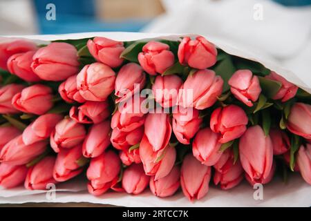 Noordwijk, the Netherlands, a bunch of tulips wrapped in paper for sale Stock Photo