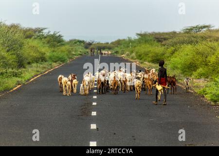 OMO VALLEY, ETHIOPIA - FEBRUARY 5, 2020: Tribal goat herder on a road between Turmi and Omorate in Omo valley, Ethiopia Stock Photo