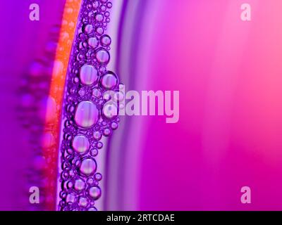 Close up water bubble  on color background Stock Photo