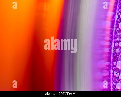 Close up water bubble  on color background Stock Photo