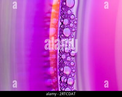 Close up water bubble  on color background Stock Photo