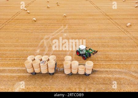 A tractor with a pitchfork loads bales of hay onto a trailer in the dry summer, Hesse, Germany Stock Photo