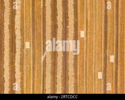 Dry bales of hay on a mown field in summer, directly from above, Hesse, Germany Stock Photo