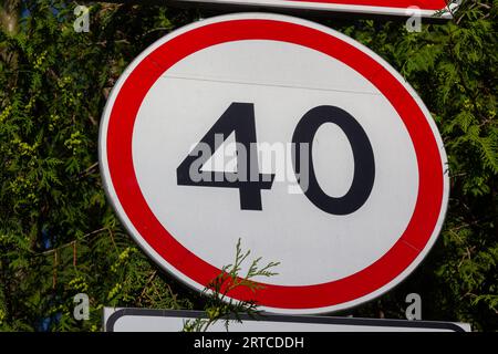 Traffic Road Signs. Speed limit traffic sign against green leaves. Stock Photo