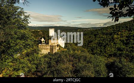 Sterrenberg Castle and the Rhine Valley near Kamp-Bornhofen in the morning light, Upper Middle Rhine Valley, Rhineland-Palatinate, Germany Stock Photo