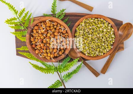 Sprouted Kala Chana or Black or brown Chickpeas, one of the vegan substitute for rich protein with high content of living enzymes.Concept of healthy g Stock Photo