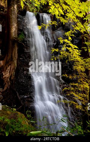 A beautiful Sungai Ruok waterfall in peace nature environment of 130 million years old Royal Belum Rainforest Park at Temengor Lake. Stock Photo