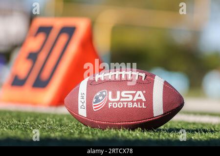 USA Football resting on football field, near 30 yard marker. Stock Photo