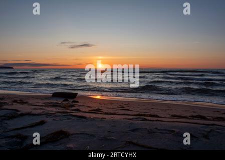 Sunrise at the Baltic Sea, driftwood on the beach, Rügen Island, Thiessow, Mecklenburg-West Pomerania, Germany Stock Photo