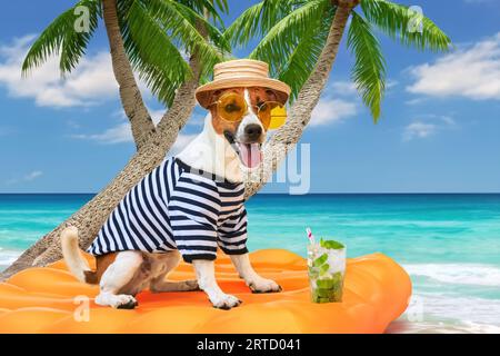 A happy dog in sunglasses, a striped T-shirt and a hat sits on an air mattress against the backdrop of an ocean landscape with palm trees. Long-awaite Stock Photo