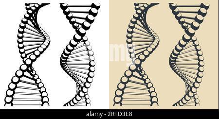 Stylized vector illustrations of DNA chains Stock Vector