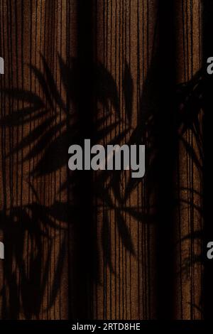 Palm tree shadows on drapes during golden hours Stock Photo
