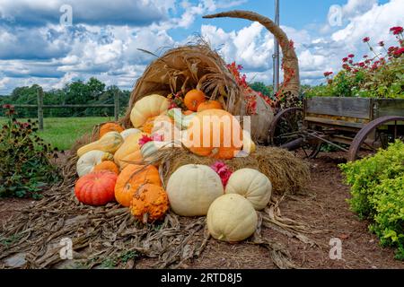 Large cornucopia filled with pumpkins and gourds spilling outwards on cornstalks on the ground with a old farm wagon filled with flowers alongside for Stock Photo