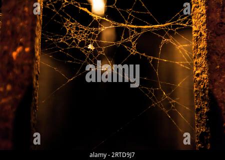 A spider's web stretches between two rusty metal uprights in a vault at Wine Factory N1 (Georgian: ღვინის ქარხანა, "wine factory") at 1 Vasil Petriashvili Street in the Vardisubani neighbourhood of Tbilisi, Georgia. A lamp behind the web makes the threads glow gold. A small tangle hangs in the centre of the web. The brick building was constructed in 1894–1896 to plans by the architect Alexander Ozerov. Under the Russian Empire and in the Soviet era, it was a major wine production facility. A collection of old wine bottles is stored in its vaults. Today the complex houses restaurants, bars and  Stock Photo
