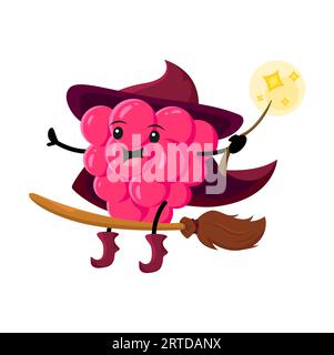 Cartoon raspberry berry wizard or magician character riding broomstick. Funny vector mage Halloween personage in hat flying on wooden broom with glowing wand. Smiling wiz or sorcerer with cute face Stock Vector