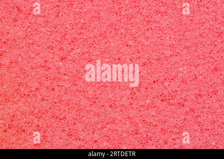 Red background of foam sponge, macro photo Stock Photo
