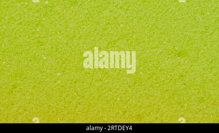 Yellow background of foam sponge, macro photo Stock Photo