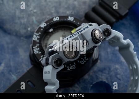 Casio G-shock Frogman Royal Navy GWF-A1000RN-8AER Stock Photo