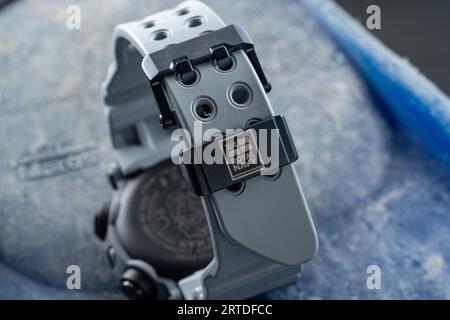 Casio G-shock Frogman Royal Navy GWF-A1000RN-8AER Stock Photo