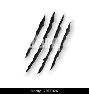 Animal claw marks scratches of wild bear, tiger, lion or dragon. Vector slash traces with torn edges of horror monster attacking paw, black marks or trails of angry beast sharp claws Stock Vector