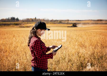 A young farm woman standing in a grain field at harvest time, using advanced agricultural software technologies on a pad, while a combine works in ... Stock Photo