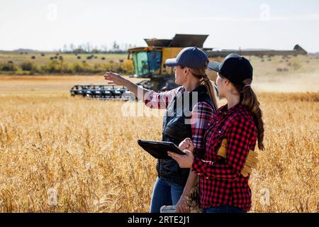 A mature farm woman standing in a field working together with a young woman at harvest time, using advanced agricultural software on a pad, while w... Stock Photo