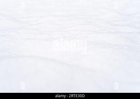 Winter Background with Snow Texture Stock Photo
