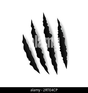 Grizzly bear claw marks and scratches, vector torn cracks of wild animal. Grizzly bear paw marks or monster beast claws with sharp fissures, damaged breaks and hollow scraps on white background Stock Vector