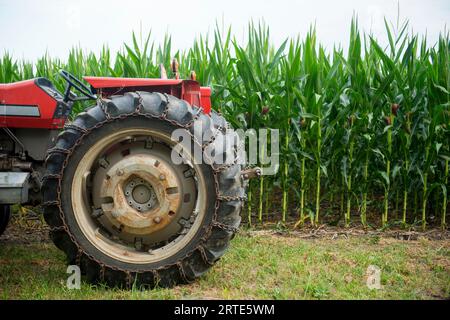 Tractor in front of a field of corn; Walton, Nebraska, United States of America Stock Photo