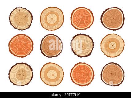 Tree trunks, wood cut with vector texture of annual rings. Cross section slices of wooden stump or log with brown bark, medullary rays and growth rings, timber, wood or lumber industry themes Stock Vector