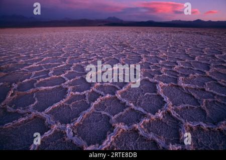 Honeycomb pattern on the Salar de Atacama salt flat at sunset; Atacama Desert, Chile Stock Photo