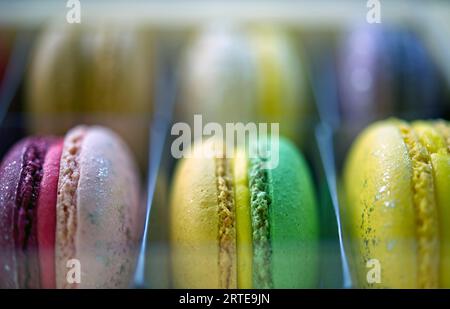 Colourful macarons Stock Photo