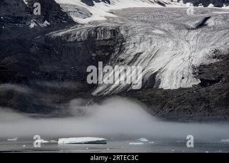 View of a glacier terminus and ice floating in the dark waters of the Nansen Fjord under a layer of fog; East Greenland, Greenland Stock Photo