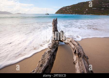Close-up of driftwood at the water's edge with the foamy surf rolling onto the beach and a view looking out to the sea from Cane Garden Bay Stock Photo