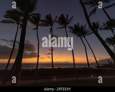 Dramatic view of a row of palm trees silhouetted against the deep, golden glow of sunset over the Pacific Ocean from the walkway along the beach at... Stock Photo