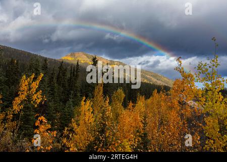 Rainbow in a cloudy sky arches over a mountain peak and the fall colored birch and cottonwood trees just outside of Denali National Park, on an aut... Stock Photo