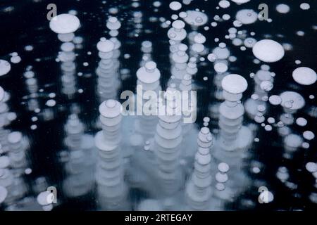 Methane bubbles trapped in ice in winter in Long Laker; Chickaloon, Alaska, United States of America Stock Photo