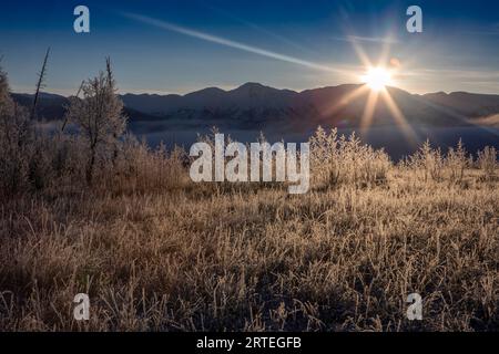Winter sun going down over the  Chugach mountains, with frost-covered trees and grass in the foreground in Rabbit Slough, Alaska, USA Stock Photo