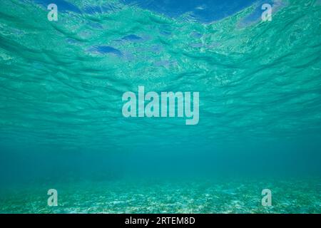 Underwater view of the clear blue ocean water in the Caribbean; Turneffe Island, Belize Stock Photo