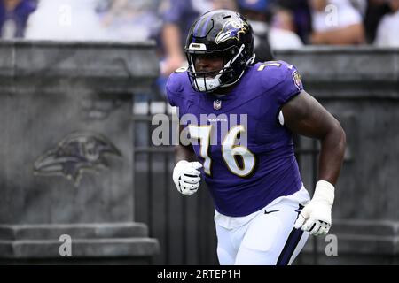 Cincinnati Bengals pregame player intros vs the Baltimore Ravens