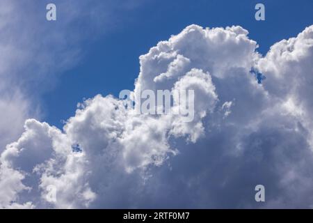 Full frame of puffy white clouds in blue sky Stock Photo
