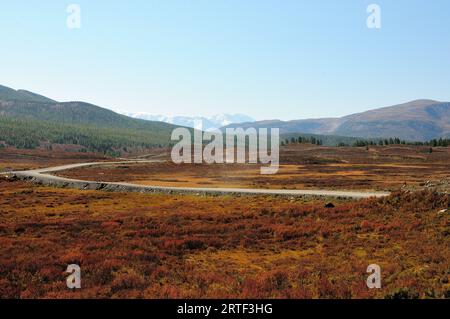 A bend in a gravel field road turns into a valley with yellowed grass and shrubs against the backdrop of high snow-capped mountains. Ulagansky distric Stock Photo