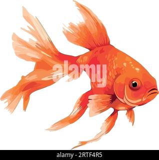 Swimming goldfish in underwater pond, isolated silhouette Stock Vector