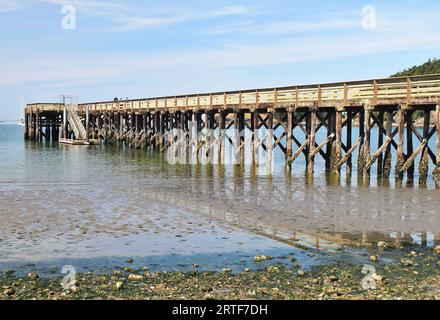 Vintage restored long wooden pier with barnacle crusted timber pilings totally exposed at low tide on a sunny day in Pacific Northwest Puget Sound Stock Photo