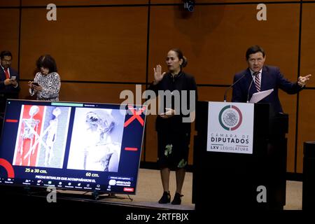 Mexico City, Mexico. 12th Sep, 2023. September 12, 2023, Mexico City, Mexico: Jois Mantilla, journalist and researcher at the Mexican Public Hearing on Unidentified Anomalous Phenomena in the Chamber of Deputies in Mexico City. on September 12, 2023 in Mexico City, Mexico (Photo by Luis Barron/Eyepix Group/Sipa USA). Credit: Sipa USA/Alamy Live News Stock Photo