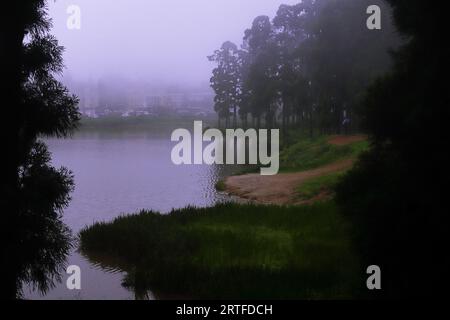 cloudy and misty mirik hill station, mirik lake and pine forest in rainy season, monsoon rainfall on himalayan foothills, darjeeling in india Stock Photo